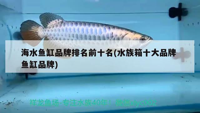 海水鱼缸品牌排名前十名(水族箱十大品牌鱼缸品牌) 海水鱼