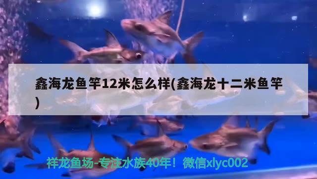 鑫海龙鱼竿12米怎么样(鑫海龙十二米鱼竿) 垂钓乐园