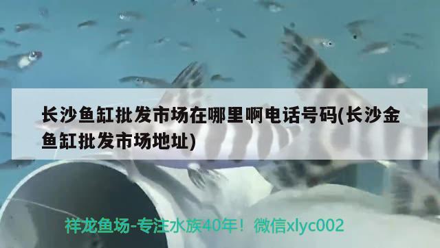 长沙鱼缸批发市场在哪里啊电话号码(长沙金鱼缸批发市场地址) 冲氧泵