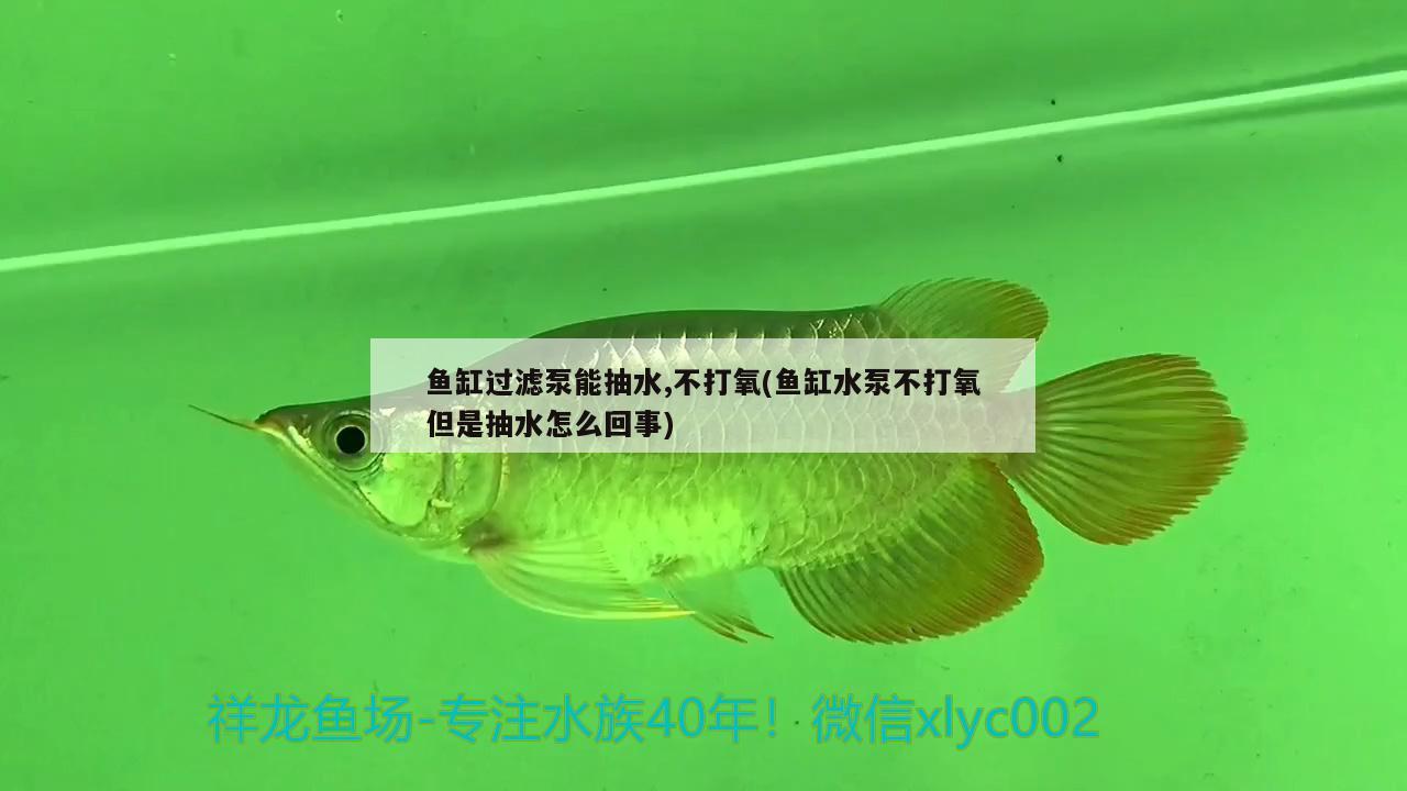 鱼缸过滤泵能抽水,不打氧(鱼缸水泵不打氧但是抽水怎么回事)