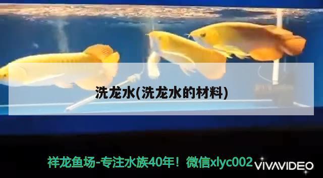 洗龙水(洗龙水的材料) 全国水族馆企业名录