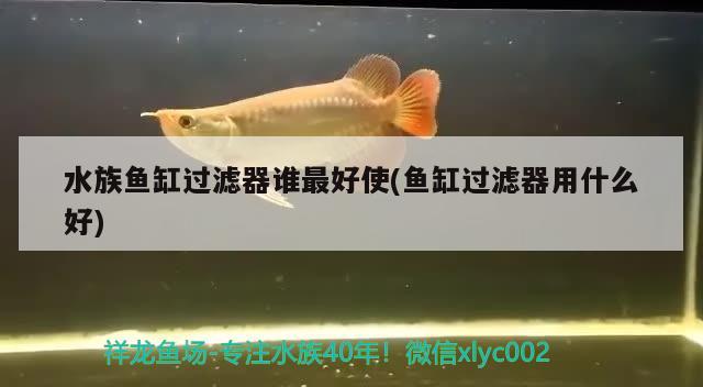 水族鱼缸过滤器谁最好使(鱼缸过滤器用什么好) 细线银版鱼