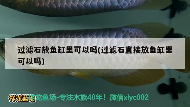 过滤石放鱼缸里可以吗(过滤石直接放鱼缸里可以吗) 黄金猫鱼