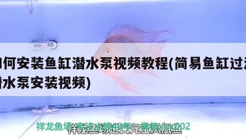 如何安装鱼缸潜水泵视频教程(简易鱼缸过滤潜水泵安装视频) 眼斑鱼