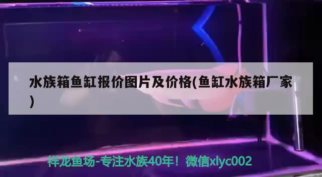 水族箱鱼缸报价图片及价格(鱼缸水族箱厂家) 鱼缸/水族箱