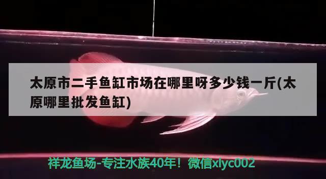 太原市二手鱼缸市场在哪里呀多少钱一斤(太原哪里批发鱼缸) 红勾银版鱼