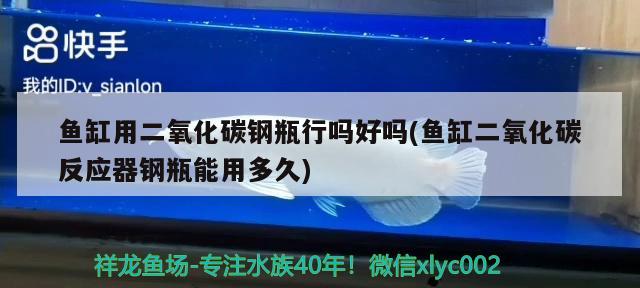 鱼缸用二氧化碳钢瓶行吗好吗(鱼缸二氧化碳反应器钢瓶能用多久)