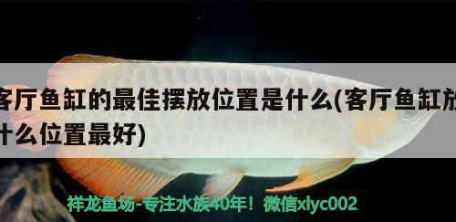 客厅鱼缸的最佳摆放位置是什么(客厅鱼缸放什么位置最好) 冲氧泵