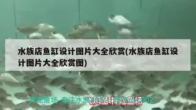 水族店鱼缸设计图片大全欣赏(水族店鱼缸设计图片大全欣赏图) 羽毛刀鱼苗