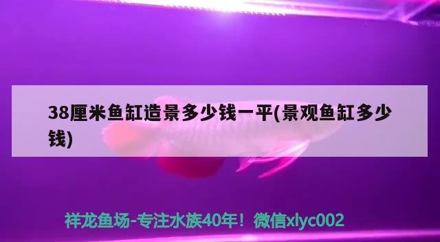 38厘米鱼缸造景多少钱一平(景观鱼缸多少钱) 委内瑞拉奥里诺三间鱼苗