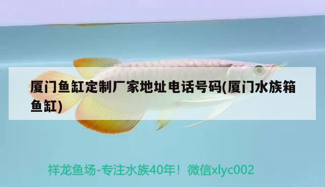 厦门鱼缸定制厂家地址电话号码(厦门水族箱鱼缸) 鱼缸/水族箱