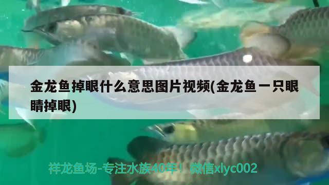 鱼缸一直开氧气泵好不好(鱼缸一直要开氧气泵吗) 水温计