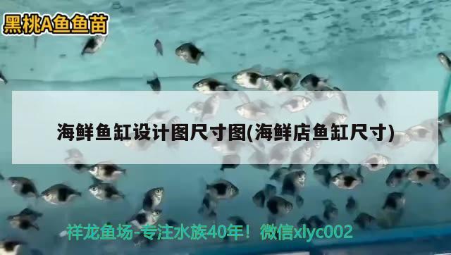 海鲜鱼缸设计图尺寸图(海鲜店鱼缸尺寸) 水族维护服务（上门）