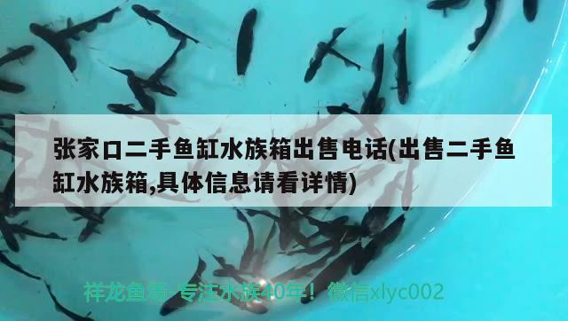 张家口二手鱼缸水族箱出售电话(出售二手鱼缸水族箱,具体信息请看详情)