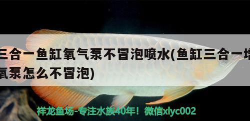 三合一鱼缸氧气泵不冒泡喷水(鱼缸三合一增氧泵怎么不冒泡)