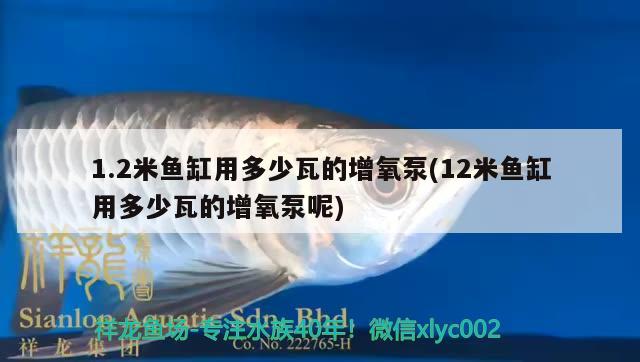 1.2米鱼缸用多少瓦的增氧泵(12米鱼缸用多少瓦的增氧泵呢) 银龙鱼