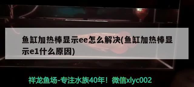 鱼缸加热棒显示ee怎么解决(鱼缸加热棒显示e1什么原因) 红龙专用鱼粮饲料