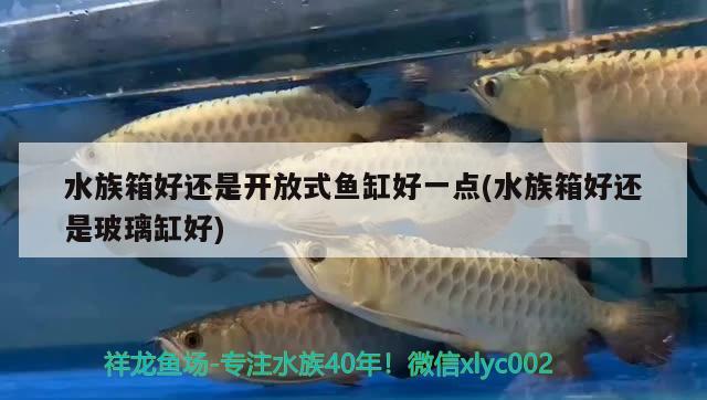 水族箱好还是开放式鱼缸好一点(水族箱好还是玻璃缸好) 鱼缸/水族箱