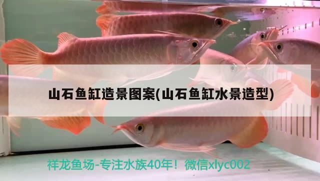 山石鱼缸造景图案(山石鱼缸水景造型) 鱼缸等水族设备