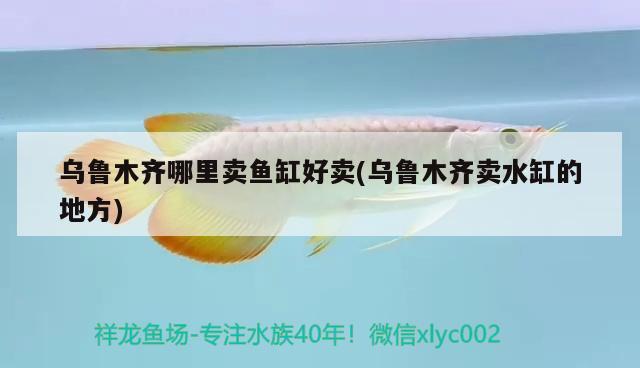 乌鲁木齐哪里卖鱼缸好卖(乌鲁木齐卖水缸的地方) 水族杂谈