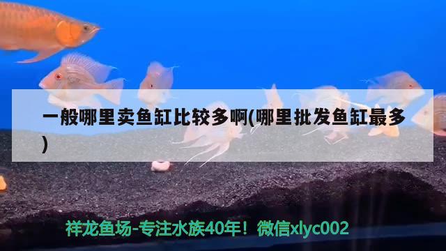 一般哪里卖鱼缸比较多啊(哪里批发鱼缸最多)