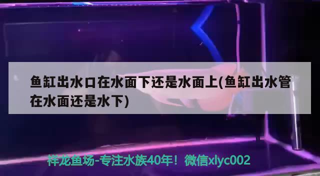 鱼缸出水口在水面下还是水面上(鱼缸出水管在水面还是水下) 电鳗