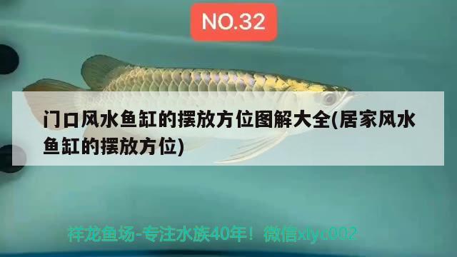 门口风水鱼缸的摆放方位图解大全(居家风水鱼缸的摆放方位)