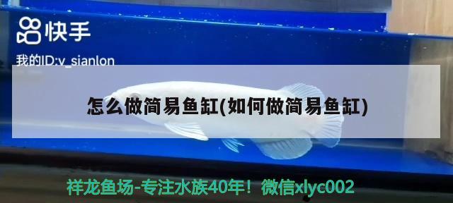 怎么做简易鱼缸(如何做简易鱼缸) 水族用品