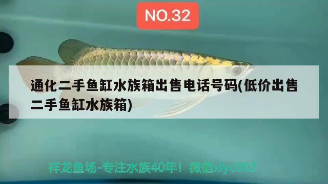 通化二手鱼缸水族箱出售电话号码(低价出售二手鱼缸水族箱) 鱼缸/水族箱