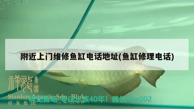 附近上门维修鱼缸电话地址(鱼缸修理电话) 水族世界