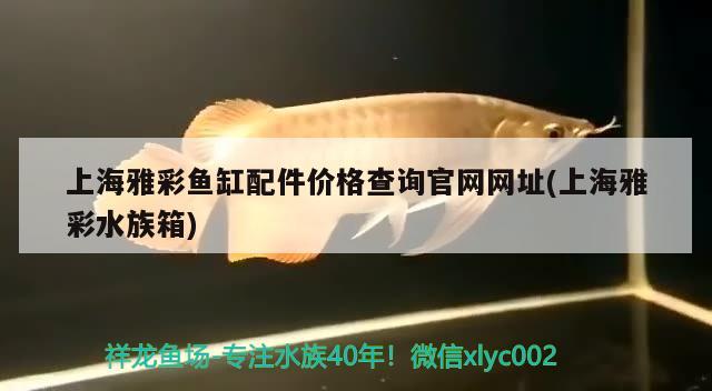 上海雅彩鱼缸配件价格查询官网网址(上海雅彩水族箱)