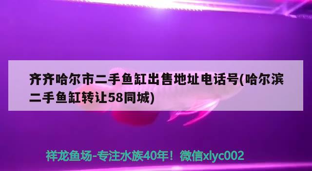 齐齐哈尔市二手鱼缸出售地址电话号(哈尔滨二手鱼缸转让58同城) 撒旦鸭嘴鱼