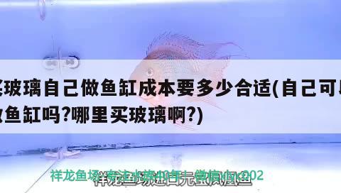 买玻璃自己做鱼缸成本要多少合适(自己可以做鱼缸吗？哪里买玻璃啊？)