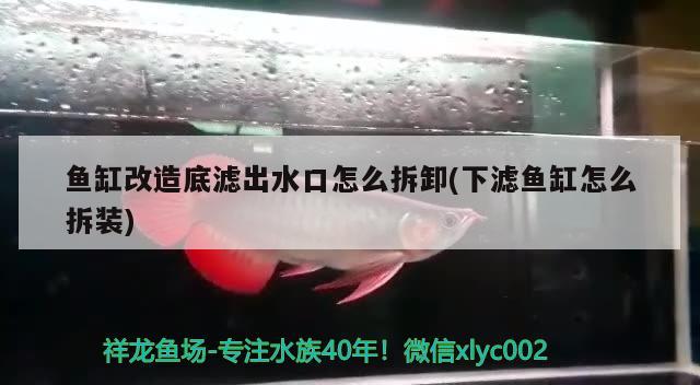 鱼缸改造底滤出水口怎么拆卸(下滤鱼缸怎么拆装)