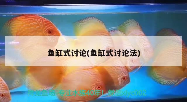 鱼缸式讨论(鱼缸式讨论法) 祥龙龙鱼专用水族灯