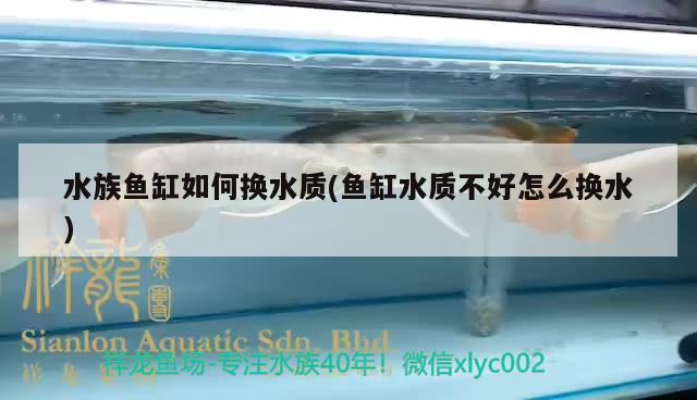 水族鱼缸如何换水质(鱼缸水质不好怎么换水)