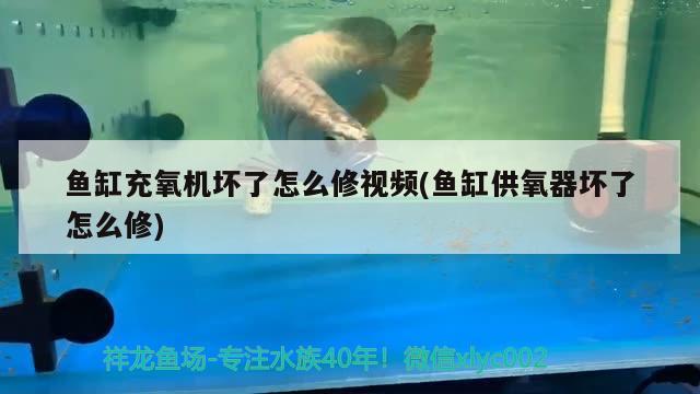 鱼缸充氧机坏了怎么修视频(鱼缸供氧器坏了怎么修) 潜水泵