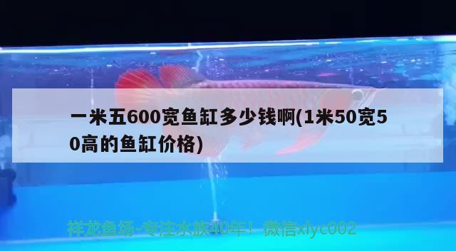 一米五600宽鱼缸多少钱啊(1米50宽50高的鱼缸价格)