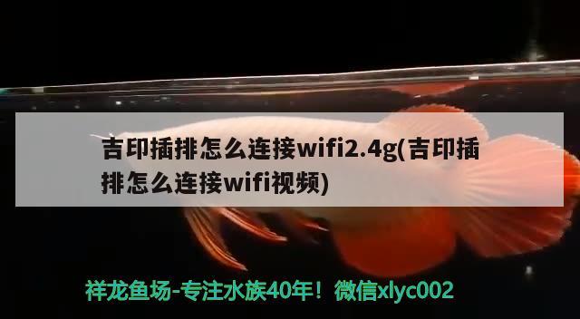 吉印插排怎么连接wifi2.4g(吉印插排怎么连接wifi视频)