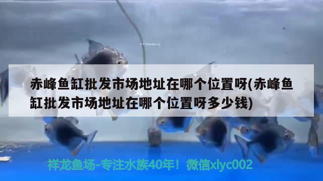 赤峰鱼缸批发市场地址在哪个位置呀(赤峰鱼缸批发市场地址在哪个位置呀多少钱) 造景/装饰