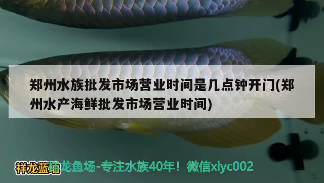 郑州水族批发市场营业时间是几点钟开门(郑州水产海鲜批发市场营业时间)