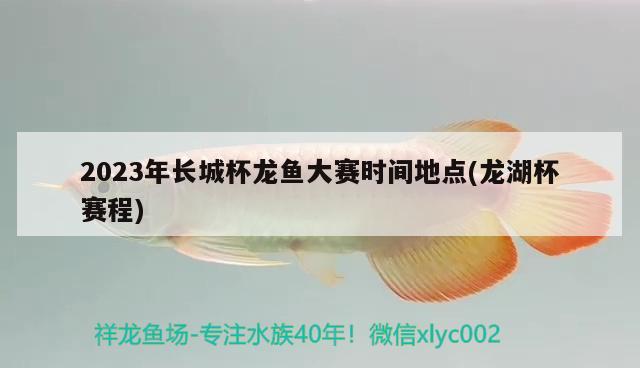 2023年长城杯龙鱼大赛时间地点(龙湖杯赛程)