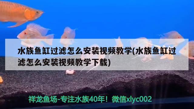 水族鱼缸过滤怎么安装视频教学(水族鱼缸过滤怎么安装视频教学下载)