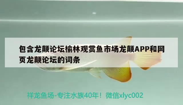 包含龙颠论坛榆林观赏鱼市场龙颠APP和网页龙颠论坛的词条 观赏鱼市场（混养鱼）