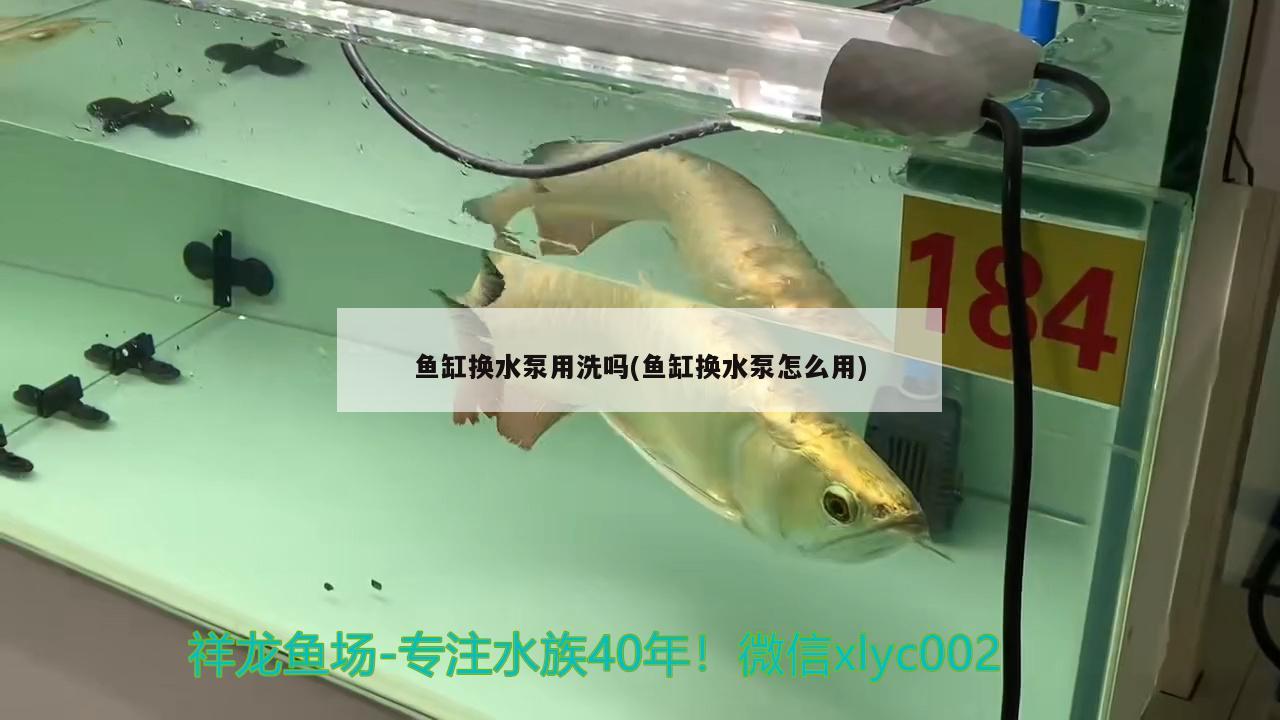 鱼缸换水泵用洗吗(鱼缸换水泵怎么用) 水族灯（鱼缸灯）