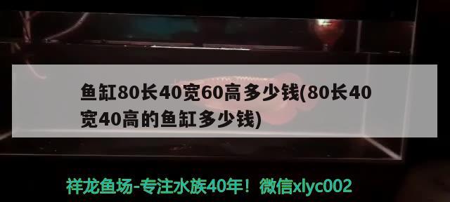 鱼缸80长40宽60高多少钱(80长40宽40高的鱼缸多少钱) 朱巴利鱼苗