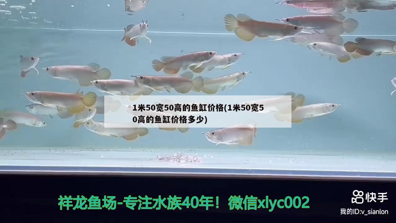 1米50宽50高的鱼缸价格(1米50宽50高的鱼缸价格多少)