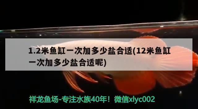 1.2米鱼缸一次加多少盐合适(12米鱼缸一次加多少盐合适呢)