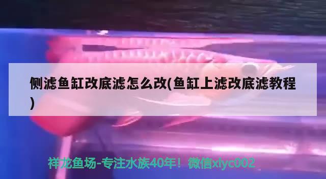 侧滤鱼缸改底滤怎么改(鱼缸上滤改底滤教程)