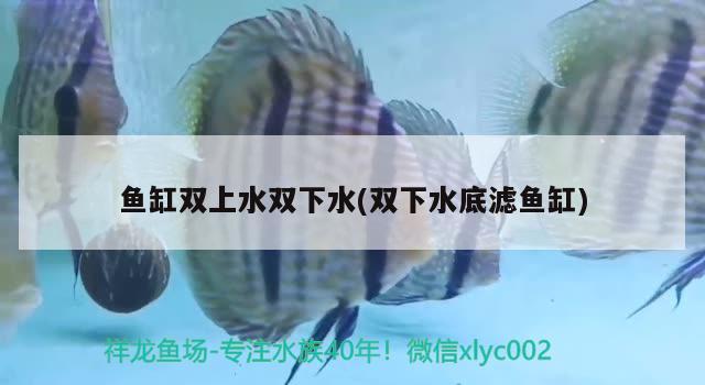 鱼缸双上水双下水(双下水底滤鱼缸) 水族杂谈